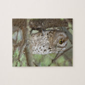 Afrika. Tanzania. Afrikaanse dwergooruil bij Taran Legpuzzel (Horizontaal)