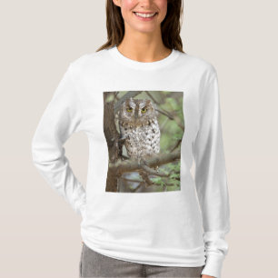 Afrika. Tanzania. Afrikaanse dwergooruil bij Taran T-shirt