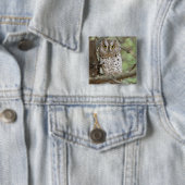 Afrika. Tanzania. Afrikaanse dwergooruil bij Taran Vierkante Button 5,1 Cm (In situ)