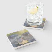 Afrika. Tanzania. Blauwe aap moeder met jonge Stenen Onderzetter (Zijkant)