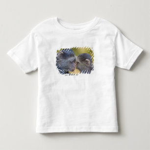 Afrika. Tanzania. Blauwe Meerkat-moeder met jong Kinder Shirts