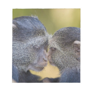 Afrika. Tanzania. Blauwe Meerkat-moeder met jong Notitieblok