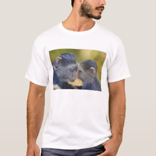Afrika. Tanzania. Blauwe Meerkat-moeder met jong T-shirt