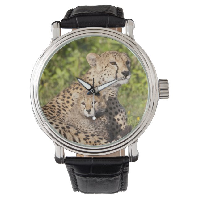 Afrika. Tanzania. Cheetah moeder en cubs 2 Horloge (Voorkant)