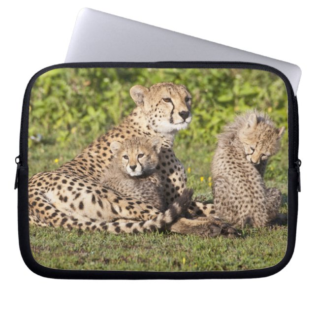 Afrika. Tanzania. Cheetah moeder en cubs 2 Laptop Sleeve (Voorkant)