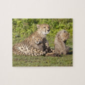 Afrika. Tanzania. Cheetah moeder en cubs 2 Legpuzzel (Horizontaal)