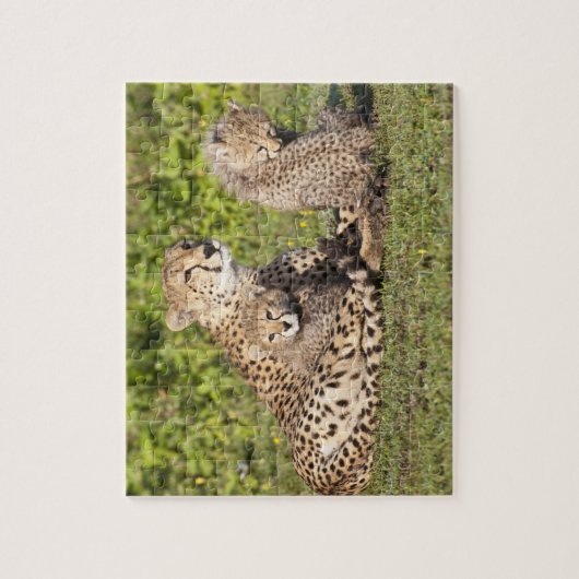 Afrika. Tanzania. Cheetah moeder en cubs 2 Legpuzzel (Verticaal)