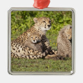 Afrika. Tanzania. Cheetah moeder en cubs 2 Metalen Ornament (Voorkant)