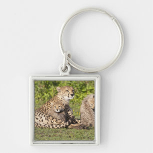 Afrika. Tanzania. Cheetah moeder en cubs 2 Sleutelhanger