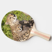 Afrika. Tanzania. Cheetah moeder en cubs 2 Tafeltennisbatje (Zijkant)