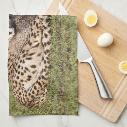 Afrika. Tanzania. Cheetah moeder en cubs 2 Theedoek (Quarter Fold)