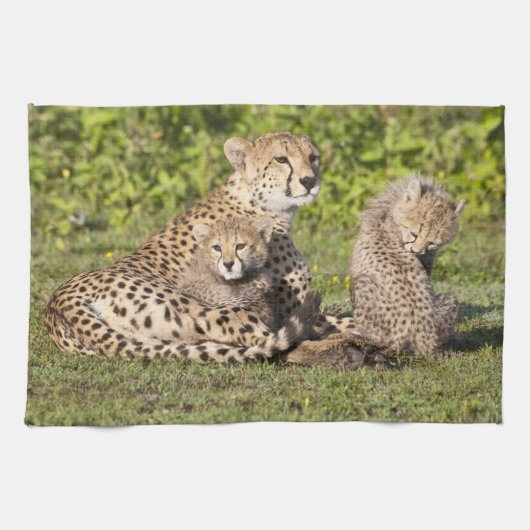 Afrika. Tanzania. Cheetah moeder en cubs 2 Theedoek (Horizontaal)