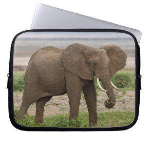 Afrika. Tanzania. Elephant bij Lake Manyara NP. Laptop Sleeve