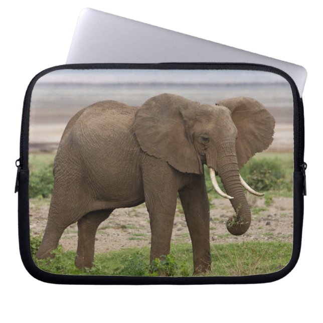 Afrika. Tanzania. Elephant bij Lake Manyara NP. Laptop Sleeve (Voorkant)