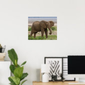 Afrika. Tanzania. Elephant bij Lake Manyara NP. Poster (Thuiskantoor)
