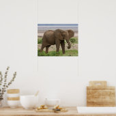 Afrika. Tanzania. Elephant bij Lake Manyara NP. Poster (Keuken)