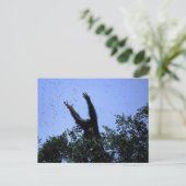 Afrika, Tanzania, Glitter bereikt voor vliegen Briefkaart (Staand voorkant)