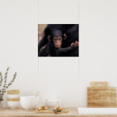 Afrika, Tanzania, Gombe Nat'l Park, Flirt, a Poster (Keuken)