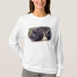 Afrika, Tanzania, Gombe NP jonge vrouwelijke chimp T-shirt
