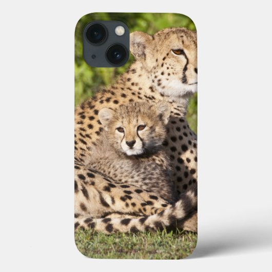 Afrika. Tanzania. Jachtluipaard moeder en welpen 2 Case-Mate iPhone Case (Achterkant)