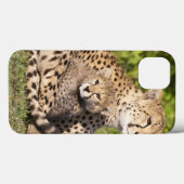 Afrika. Tanzania. Jachtluipaard moeder en welpen 2 Case-Mate iPhone Case (Achterkant (horizontaal))