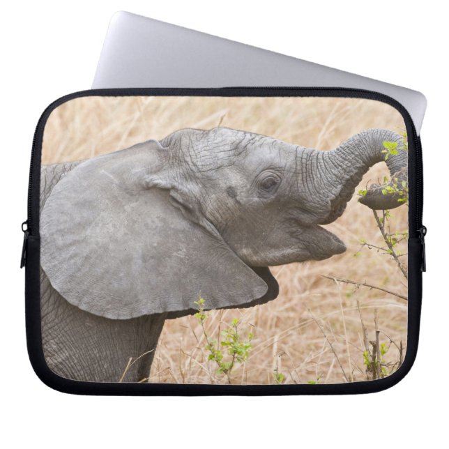 Afrika. Tanzania. Jonge Olifant bij Tarangire Laptop Sleeve (Voorkant)