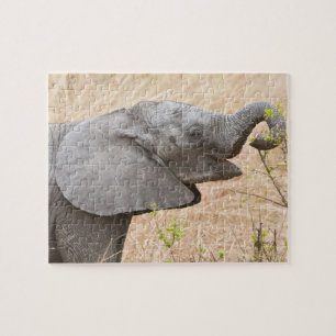 Afrika. Tanzania. Jonge olifant bij Tarangire Legpuzzel