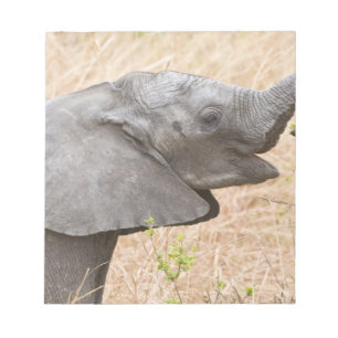 Afrika. Tanzania. Jonge olifant bij Tarangire Notitieblok