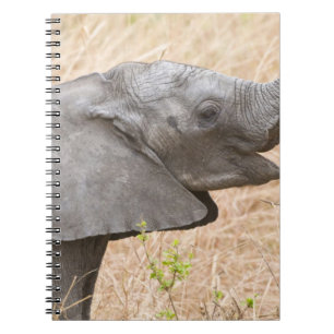 Afrika. Tanzania. Jonge olifant bij Tarangire Notitieboek