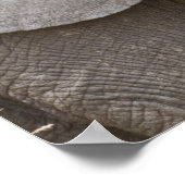 Afrika. Tanzania. Jonge olifant bij Tarangire Poster (Hoek)