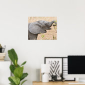 Afrika. Tanzania. Jonge olifant bij Tarangire Poster (Thuiskantoor)
