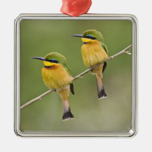 Afrika. Tanzania. Kleine Bijeneters bij Manyara Metalen Ornament