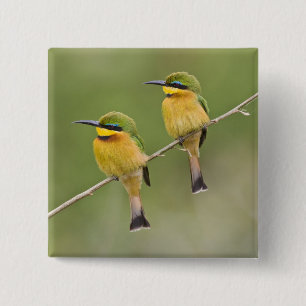 Afrika. Tanzania. Kleine Bijeneters bij Manyara Vierkante Button 5,1 Cm