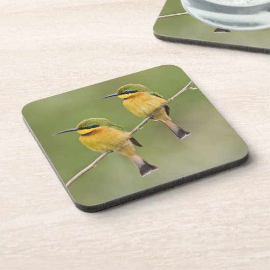 Afrika. Tanzania. Little Bee Eaters op Manyara Drankjes Onderzetter (Linkerzijde)