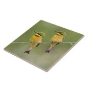 Afrika. Tanzania. Little Bee Eaters op Manyara Tegeltje (Zijkant)