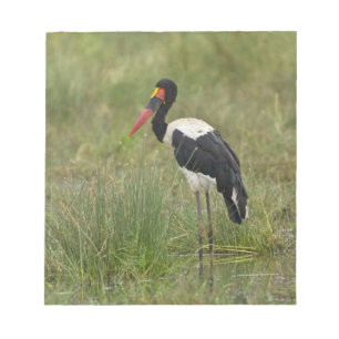Afrika. Tanzania. Mannelijke Sadelbekooievaar Notitieblok