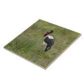 Afrika. Tanzania. Mannelijke zadelbekooievaar Tegeltje (Zijkant)