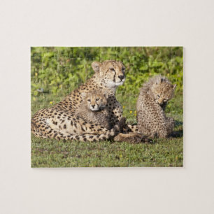 Afrika. Tanzania. Moederjachtluipaard en welpen 2 Legpuzzel