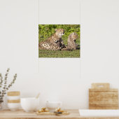 Afrika. Tanzania. Moederjachtluipaard en welpen 2 Poster (Keuken)