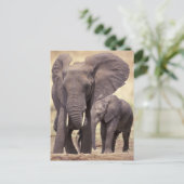 Afrika, Tanzania, Nationaal Park Tarangire. 2 Briefkaart (Staand voorkant)