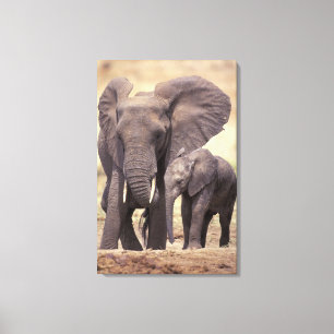 Afrika, Tanzania, Nationaal park Tarangire. 2 Canvas Afdruk