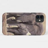 Afrika, Tanzania, Nationaal Park Tarangire. 2 Case-Mate iPhone Case (Achterkant (horizontaal))