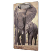 Afrika, Tanzania, Nationaal park Tarangire. 2 Klembord (Links)
