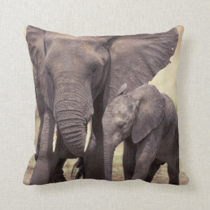 Afrika, Tanzania, Nationaal Park Tarangire. 2 Kussen