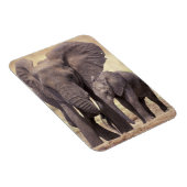 Afrika, Tanzania, Nationaal Park Tarangire. 2 Magneet (Rechterzijde)