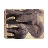 Afrika, Tanzania, Nationaal Park Tarangire. 2 Magneet (Horizontaal)