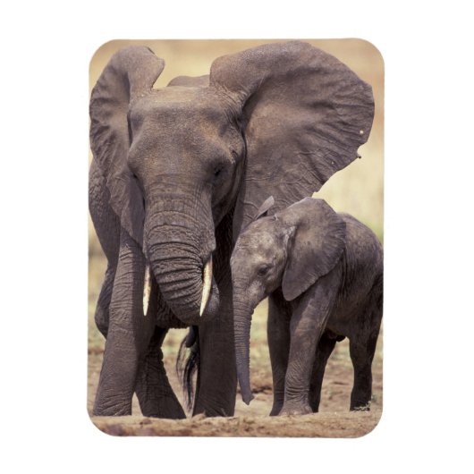 Afrika, Tanzania, Nationaal Park Tarangire. 2 Magneet (Verticaal)