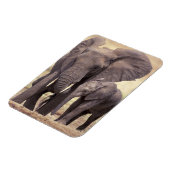 Afrika, Tanzania, Nationaal Park Tarangire. 2 Magneet (Linkerzijde)