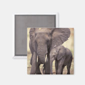 Afrika, Tanzania, Nationaal park Tarangire. 2 Magneet (Voorkant / Achterkant)