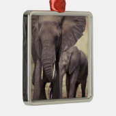 Afrika, Tanzania, Nationaal Park Tarangire. 2 Metalen Ornament (Rechts)